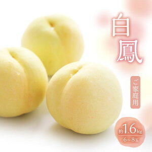 yӂ邳Ɣ[Łz 2026N ʌ  P 1.6kg 6`8 ƒp t[c ʕ R Ԕ֎sY@͂F2026N7{`2026N7{