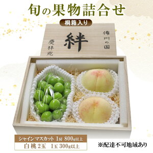 yӂ邳Ɣ[ŁzԂǂ  2026N s\ VC}XJbg(G) 1[ 800gȏ  2 1300gȏ ˔ B̍ J cˉ 蕨  ̂Ή R Ԕ֎s@͂F2026N7