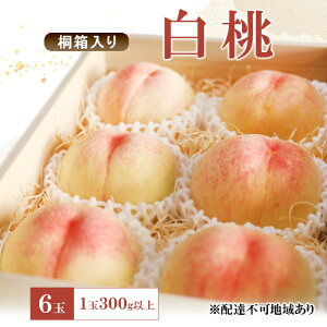 �y�ӂ邳�Ɣ[�Łz���� 2026�N ��s�\�� ���� 6�� 1��300g�ȏ� �˔����� ���B�̍� �J �c�ˉ� ���蕨 ���� �̂��Ή� ���R�� �Ԕ֎s�@���͂��F2026�N7��10���`2026�N7��31��