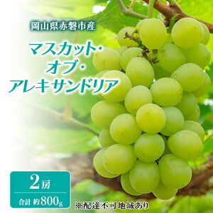 yӂ邳Ɣ[ŁzԂǂ 2026N s\ }XJbgEIuEALThA 2[ v 800g uhE  R Ԕ֎sY t[c ʕ Mtg ʕށ@͂F2026N7{`2026N9