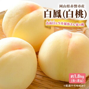 yӂ邳Ɣ[Łz 2026N s\ ^ʖڂȍ킳Ƃ̓  P 1.8kg 6`8 t[c ʕ R Ԕ֎sY@͂F2026N7{`2026N7{