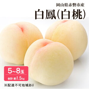 yӂ邳Ɣ[Łz 2026N s\  P 1.5kg 5`8 t[c ʕ R Ԕ֎sY@͂F2026N7{`2026N7{