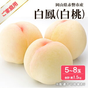 yӂ邳Ɣ[Łz 2026N s\  P 1.5kg 5`8 ƒp t[c ʕ R Ԕ֎sY@͂F2026N7{`2026N7{