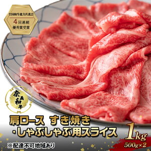 yӂ邳Ɣ[Łzދ`a  [X Ă Ԃ p XCX 1000g (500g×2) Ȃr[t     a R Y@͂F\󋵂ɂĔ܂ł1`2x
