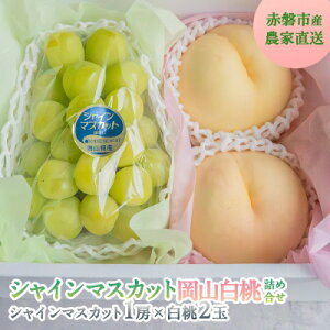 yӂ邳Ɣ[Łz Ԃǂ 2026N s\ RY VC}XJbg [ 1[  2 l v1.3kg Ԕ֎sY t[c ʕ Mtg fU[g@͂F2026N7{`2026N8{