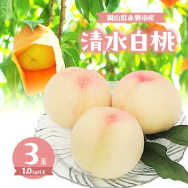 【ふるさと納税】桃 2026年 数量限定 清水白桃 3玉 計1.0kg以上 岡山県 赤磐市産 　お届け：2026年7月中旬～2026年8月中旬