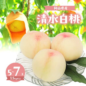 �y�ӂ邳�Ɣ[�Łz�� 2026�N ���ʌ��� �������� 5�`7�� �v1.5kg�ȏ� ���R�� �Ԕ֎s�Y�@���͂��F2026�N7�����{�`2026�N8����{