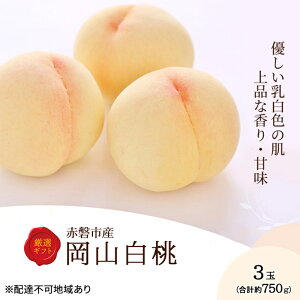yӂ邳Ɣ[Łz 2026N s\ R 3 750g ϔ R Ԕ֎sY ʕ t[c   @͂F2026N7{`2026N8{