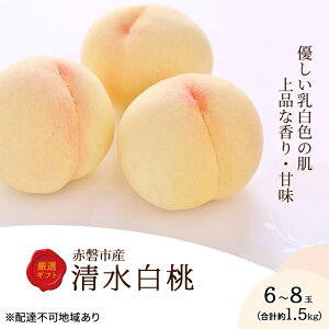 yӂ邳Ɣ[Łz 2026N s\  6`8 1.5kg ϔ R Ԕ֎sY ʕ t[c   @͂F2026N7{`2026N8{