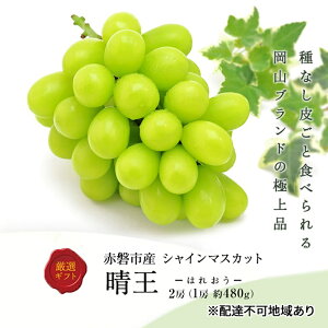 yӂ邳Ɣ[ŁzԂǂ 2026N s\ VC}XJbg  2[ 1[480g ϔ R Ԕ֎sY ʕ t[c  uhE@͂F2026N9{`2026N11{
