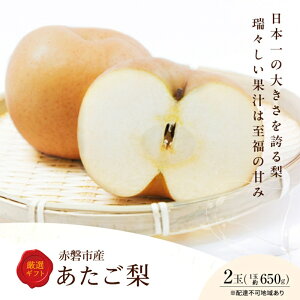 yӂ邳Ɣ[Łz 2026N s\  2 R Ԕ֎sY ʕ t[c@͂F2026N11{`2026N12{
