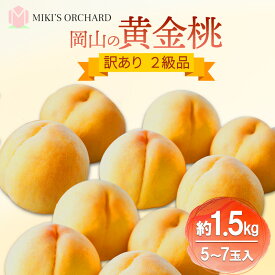 【ふるさと納税】桃 【 訳あり 2級品 】 2026年 先行予約 黄金桃 約1.5kg(5～7玉入り) MIKI’S ORCHARD もも モモ 果物 フルーツ 岡山 赤磐市　お届け：2026年8月下旬～2026年9月下旬