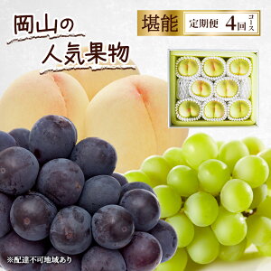 yӂ邳Ɣ[Łz 2026N s\ R̐lCʕ \ 4R[X    Ԃǂ sI[l VC}XJbg Ԕ֎s@͂F2026N71`2026N1031