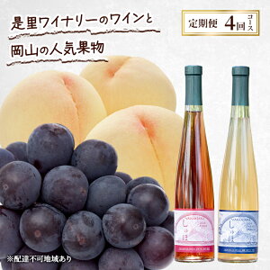 yӂ邳Ɣ[Łz 2026N s\ Ci[̃CƉR̐lCʕ ReXg 4R[X   C Ԃǂ sI[l Ԕ֎s@͂F2026N71`2026N1031