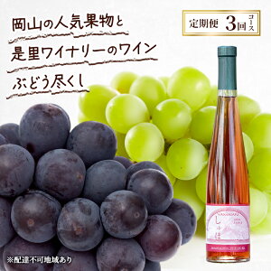 yӂ邳Ɣ[Łz 2026N s\ R̐lCʕƐCi[̃C Ԃǂs 3R[X Ԃǂ sI[l C VC}XJbg  Ԕ֎s@͂F2026N91`