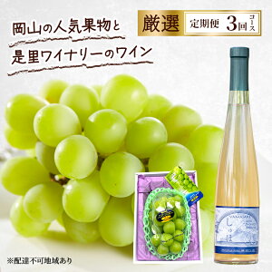 yӂ邳Ɣ[Łz 2026N s\ R̐lCʕƐCi[̃C I 3R[X Ԃǂ VC}XJbg   C Ԕ֎s@͂F2026N91`2026N11