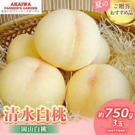 【ふるさと納税】桃 2026年 先行予約 清水 白桃 約750g 3玉 もも 岡山県 赤磐市産 フルーツ 果物 あかいわファーマーズガーデン 果物類　お届け：2026年7月中旬～2026年8月上旬
