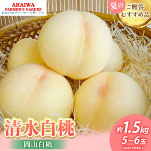 【ふるさと納税】桃 2026年 先行予約 清水 白桃 約1.5kg 5〜6玉 もも 岡山県 赤磐市産 フルーツ 果物 あかいわファーマーズガーデン お届け:2026年7月中旬〜2026年8月上旬