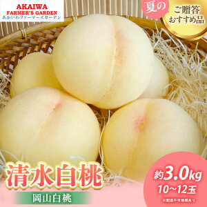 【ふるさと納税】桃 2026年 先行予約 清水 白桃 約3.0kg 10〜12玉 もも 岡山県 赤磐市産 フルーツ 果物 あかいわファーマーズガーデン 果物類 お届け:2026年7月中旬〜2026年8月上旬