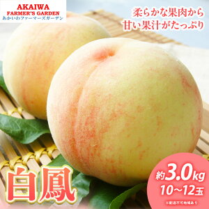 【ふるさと納税】桃 2026年 先行予約 白桃 白鳳 約3.0kg 10〜12玉 もも 岡山県 赤磐市産 フルーツ 果物 あかいわファーマーズガーデン 果物類 お届け:2026年7月上旬〜2026年7月中旬