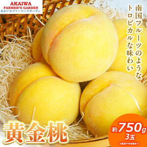 yӂ邳Ɣ[Łz 2026N s\  750g 3  R Ԕ֎sY t[c ʕ t@[}[YK[f ʕށ@͂F2026N8{`2026N9{