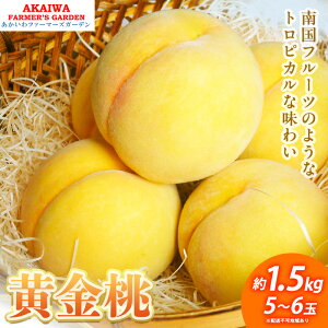 yӂ邳Ɣ[Łz 2026N s\  1.5kg 5`6ʂ R Ԕ֎sY t[c ʕ t@[}[YK[f@͂F2026N8{`2026N9{