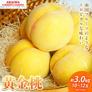 【ふるさと納税】桃 2026年 先行予約 黄金桃 約3.0kg 10〜12玉 もも 岡山県 赤磐市産 フルーツ 果物 あかいわファーマーズガーデン 果物類 お届け:2026年8月下旬〜2026年9月上旬
