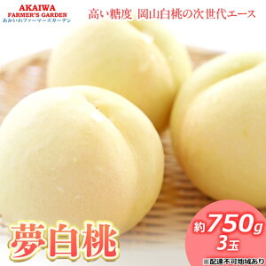 yӂ邳Ɣ[Łz 2026N s\    750g 3  R Ԕ֎sY t[c ʕ t@[}[YK[f fU[g {̉ʕ {̃t[c@͂F2026N7{