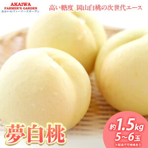 yӂ邳Ɣ[Łz 2026N s\    1.5kg 5`6  R Ԕ֎sY t[c ʕ t@[}[YK[f@͂F2026N7{`2026N8{