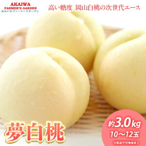 【ふるさと納税】桃 2026年 先行予約 おかやま 夢 白桃 約3.0kg 10〜12玉 もも 岡山県 赤磐市産 フルーツ 果物 あかいわファーマーズガーデン デザート 旬の果物 旬のフルーツ お届け:2026年7月