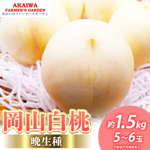 yӂ邳Ɣ[Łz 2026N s\ R  (Ӑ) 1.5kg 5`6  R Ԕ֎sY t[c ʕ t@[}[YK[f@͂F2026N8{`2026N9{