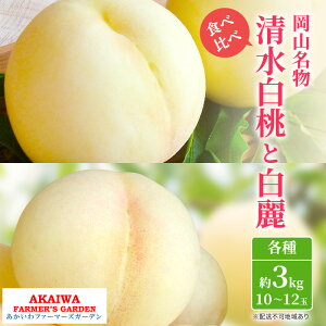 yӂ邳Ɣ[Łz 2026N s\  R  Hה I    e3.0kg 10`12 t@[}[YK[f ʕ@͂F2026N7{`2026N8{