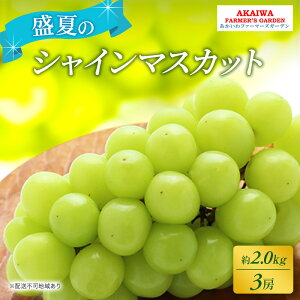 yӂ邳Ɣ[ŁzԂǂ 2026N s\ VC}XJbg 2.0kg 3[   R Ԕ֎sY t[c ʕ t@[}[YK[f ʕށ@͂F2026N7{`2026N8