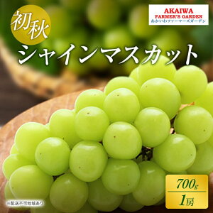 yӂ邳Ɣ[ŁzԂǂ 2026N s\ VC}XJbg 700g 1[ H  R Ԕ֎sY t[c ʕ t@[}[YK[f ʕށ@͂F2026N8{`2026N9