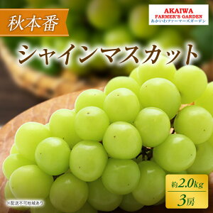 【ふるさと納税】ぶどう 2026年 先行予約 シャインマスカット 約2.0kg 3房 秋本番 葡萄 岡山県 赤磐市産 フルーツ 果物 果物類 お届け:2026年9月下旬〜2026年10月中旬