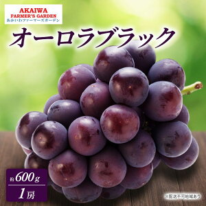 yӂ邳Ɣ[ŁzԂǂ 2026N s\ I[ubN 600g 1[  R Ԕ֎sY t[c ʕ t@[}[YK[f@͂F2026N9{`2026N9{