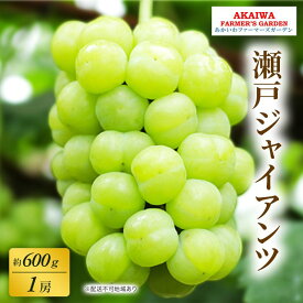 【ふるさと納税】ぶどう 2026年 先行予約 瀬戸ジャイアンツ 約600g 1房 葡萄 岡山県 赤磐市産 フルーツ 果物 あかいわファーマーズガーデン　お届け：2026年9月上旬～2026年9月下旬