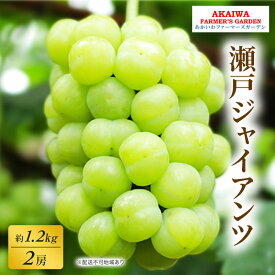 【ふるさと納税】ぶどう 2026年 先行予約 瀬戸ジャイアンツ 約1.2kg 2房 葡萄 岡山県 赤磐市産 フルーツ 果物 あかいわファーマーズガーデン　お届け：2026年9月上旬～2026年9月下旬