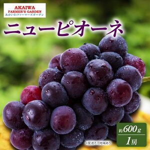 yӂ邳Ɣ[ŁzԂǂ 2026N s\ j[sI[l 600g 1[  R Ԕ֎sY t[c ʕ t@[}[YK[f@͂F2026N9{`2026N10{