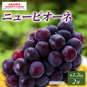 yӂ邳Ɣ[ŁzԂǂ 2026N s\ j[sI[l 1.2kg 2[  R Ԕ֎sY t[c ʕ t@[}[YK[f@͂F2026N9{`2026N10{