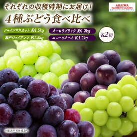 【ふるさと納税】ぶどう 2026年 先行予約 ぶどう 食べ比べ 約1.2kg～1.5kg×4種 葡萄 岡山県 赤磐市産 フルーツ 果物 果物類 マスカット　お届け：2026年9月上旬～2026年10月上旬