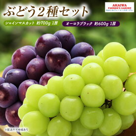 【ふるさと納税】ぶどう 2026年 先行予約 シャインマスカット 約700g 1房 オーロラブラック 約600g 1房 葡萄 岡山県 赤磐市産 フルーツ 果物　お届け：2026年9月上旬～2026年9月下旬