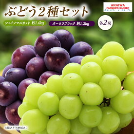 【ふるさと納税】ぶどう 2026年 先行予約 シャインマスカット 約1.4kg 2房 オーロラブラック 約1.2kg 2房 葡萄 岡山県 赤磐市産 フルーツ 果物　お届け：2026年9月上旬～2026年9月下旬