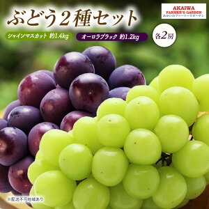 yӂ邳Ɣ[ŁzԂǂ 2026N s\ VC}XJbg 1.4kg 2[ I[ubN 1.2kg 2[  R Ԕ֎sY t[c ʕ@͂F2026N9{`2026N9{