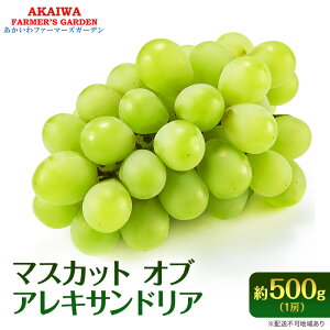 yӂ邳Ɣ[ŁzԂǂ 2026N s\ }XJbg Iu ALThA 500g 1[  t[c ʕ R Ԕ֎sY uhE ʕށ@͂F2026N8{`2026N9{