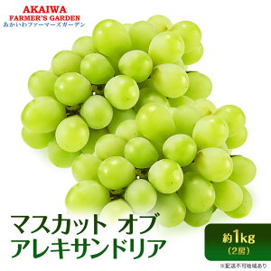 yӂ邳Ɣ[ŁzԂǂ 2026N s\ }XJbg Iu ALThA 2[ (1.0kg)  R Ԕ֎sY t[c ʕ uhE ʕށ@͂F2026N8{`2026N9{