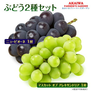 yӂ邳Ɣ[ŁzԂǂ 2026N s\ }XJbg Iu ALThA j[sI[l e1[ v 1.1kg  R Ԕ֎sY t[c ʕ@͂F2026N9{`2026N9{