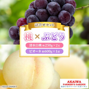 yӂ邳Ɣ[Łz Ԃǂ l 2026N s\   2ʁi1250gȏj j[ sI[l 1[ 600g R Ԕ֎sY t[c ʕ t@[}[YK[f@͂F2026N7