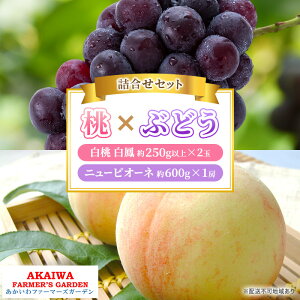 【ふるさと納税】桃 ぶどう 詰合せ 2026年 先行予約 白桃 白鳳 2玉(1玉250g以上) ニュー ピオーネ 1房 約600g 岡山県 赤磐市産 フルーツ 果物 あかいわファーマーズガーデン お届け:2026年7月
