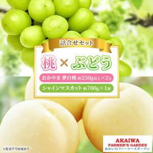 【ふるさと納税】桃 ぶどう 詰合せ 2026年 先行予約 おかやま 夢 白桃 2玉(1玉250g以上) シャイン マスカット 1房 約700g 岡山県 赤磐市産 フルーツ 果物 あかいわファーマーズガーデン お届
